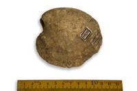 F 10139
<br/>
<br/>
<em></em>